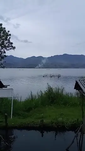 #danausingkarak #tiktokviral #fyppppppppppppppppppppppp 