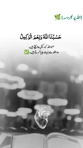 #foru #viral_video #fyp #100k #tik_tok 