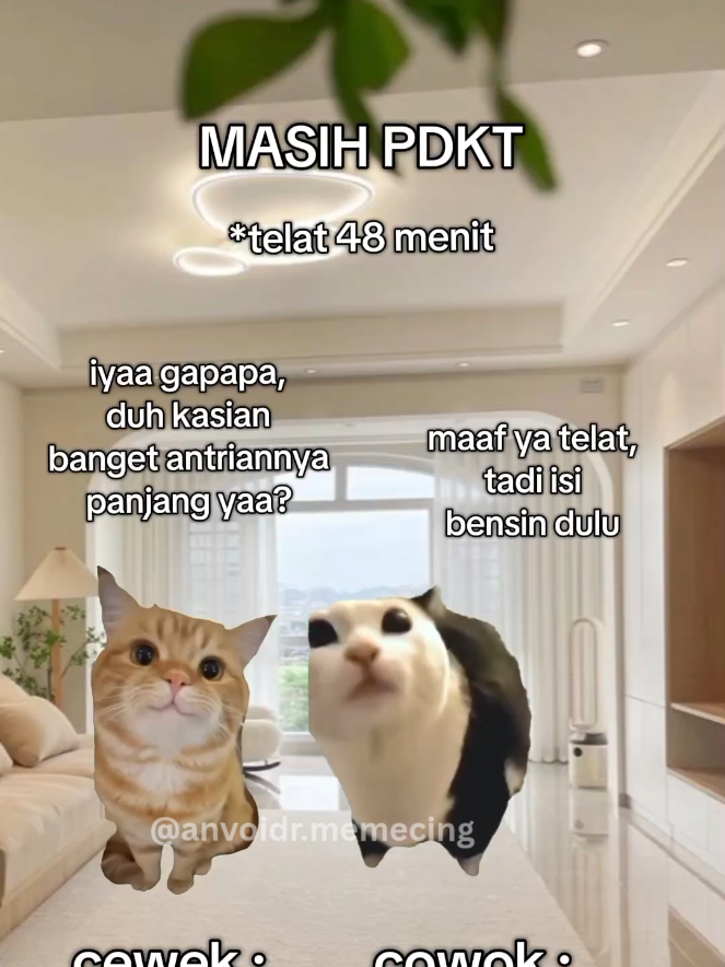 semua akan jd sumala pd akhirnya 🥰 #foryoupage #meme #kucing #anvoidr #fyp 