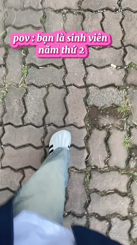 di hoc cung tui nha #sontungmtp #xuhuong #viral #cuocsongdaihoc #hnue 