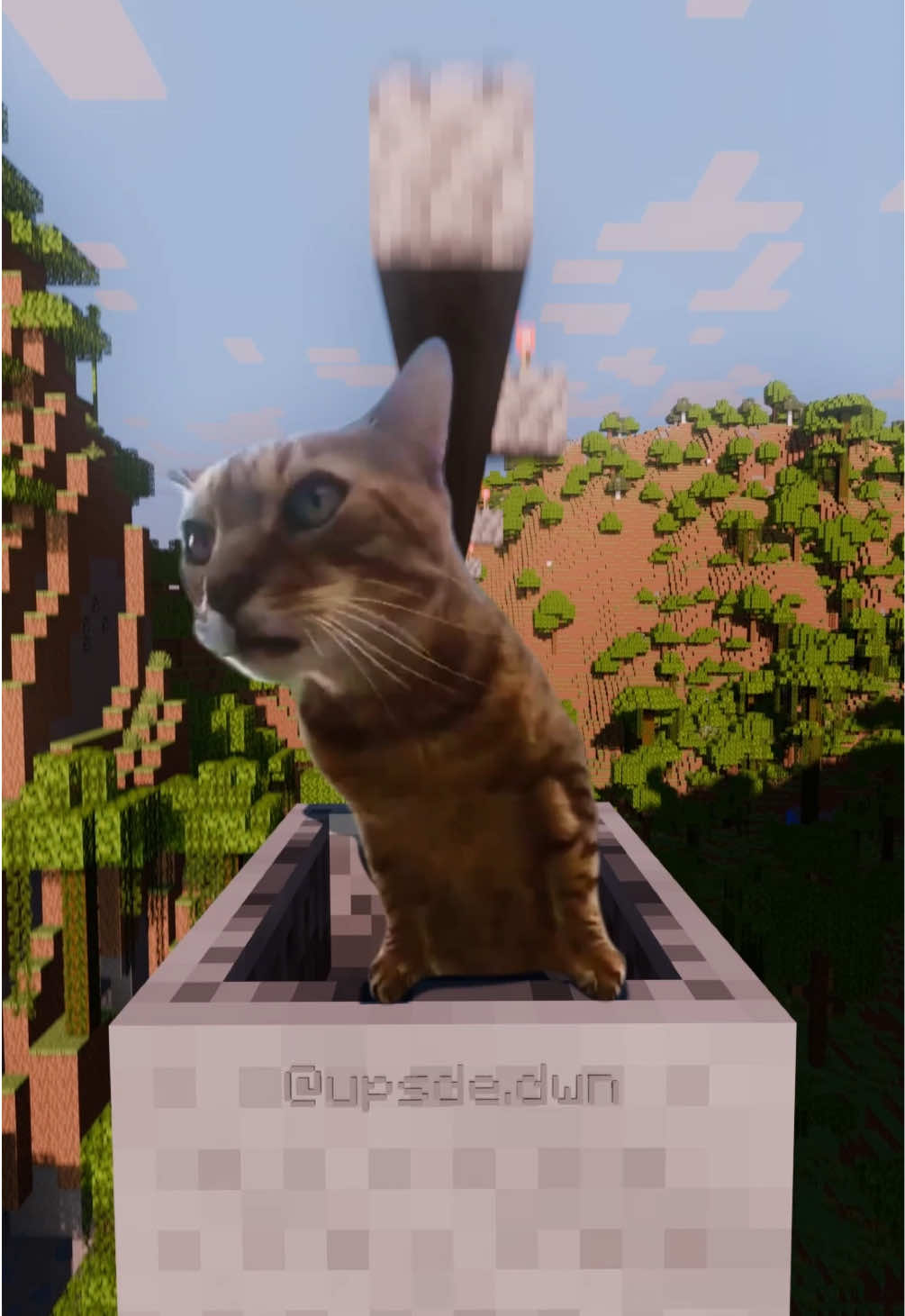 original: @Pouncey - edit: me #Minecraft #cat #fyp #memestiktok #funnytiktok 