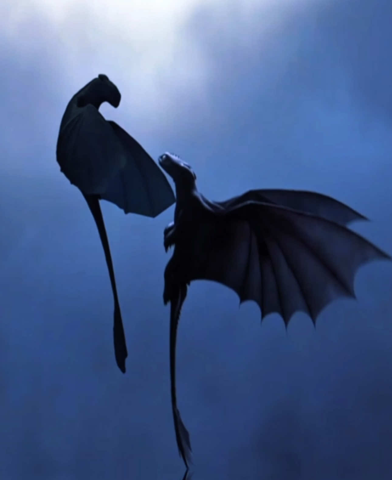 Eternity 🕰️ - HTTYD Whiro x Toniri - @Kitty Cat 😸  - @DreamWorks Animation  - #httyd #httydedit #howtotrainyourdragon #howtotrainyourdragonedit #eternity 