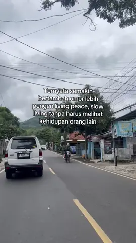Tos yang setuju 🤚