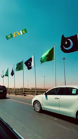 #17 #9 #2025  #🇸🇦 🇵🇰 #👑