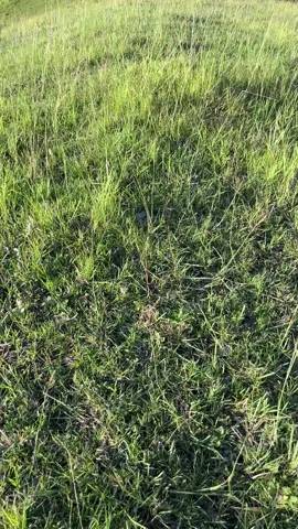 Myday mo na👌 Ganda ng tanawin🥰 #nature #peacefullplace #naturetherapy🌿🍀☘️ #fyppppppppppppppppppppppp #natureescape 