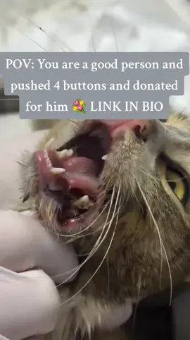 His condition is still critical guys. He is in intensive care and we need URGENT DONATIONS for him to make through this… 😭😭😭😭