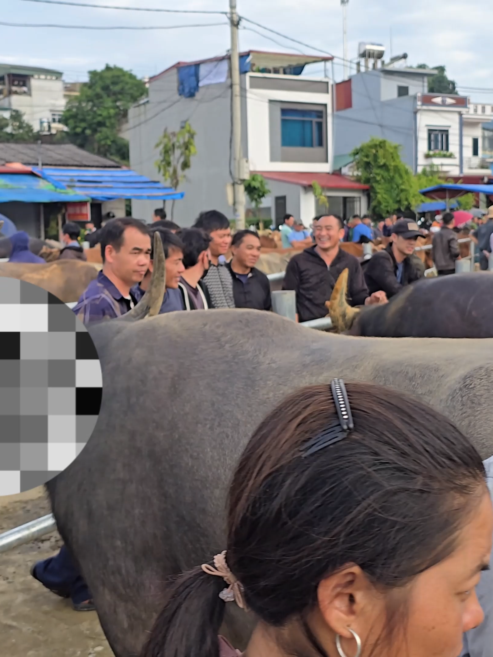 Đi chợ mua trâu làm thịt tr.âu gác bếp phần 4 #songnhitv #thittraugacbep