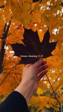 Autumn Is coming!!! 🍂🍂🍂 #CapCut #hygge #fall #autumn #cottagecore 