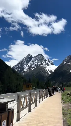 Siguniangshan | chengdu 🏔️🌼 #เที่ยวเฉิงตู #สี่ดรุณี #เที่ยวจีน 