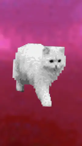 cat cat# #trendin cat#viralvideosofficial❤️❤️🤩foryoupage🥰🥰❤️ 