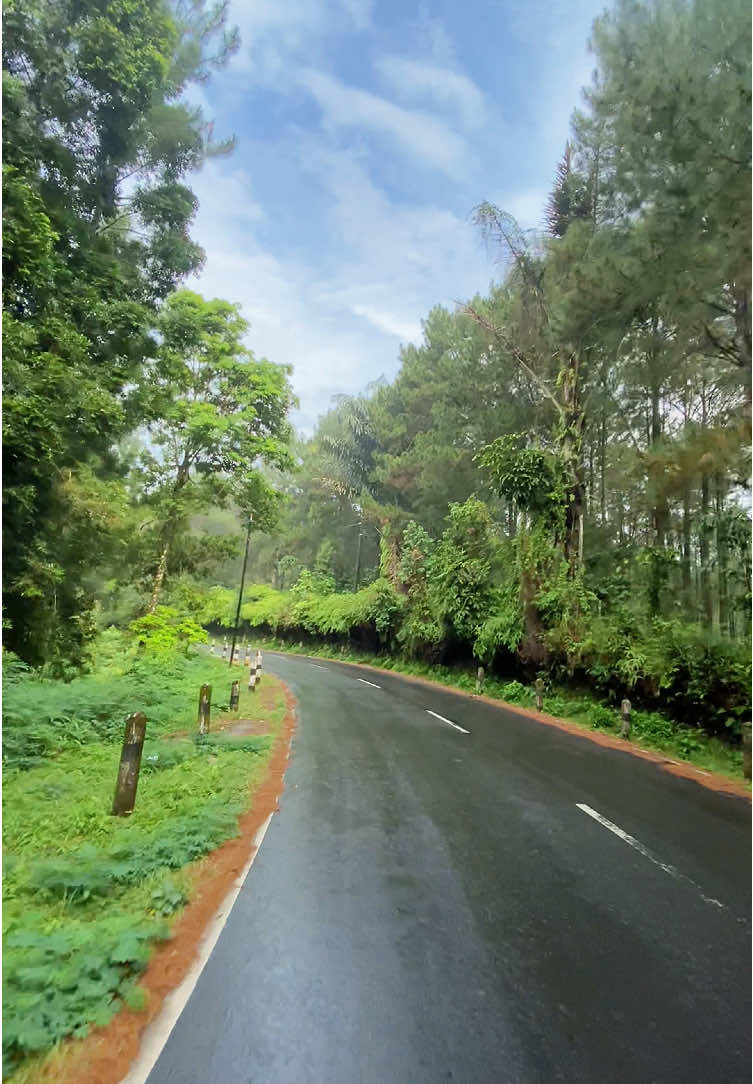 Paninggaran kalo ujan masih tetep sejuk  #fyp #paninggaranpekalongan #kajenhits #pekalonganhits #pekalongan24jam 