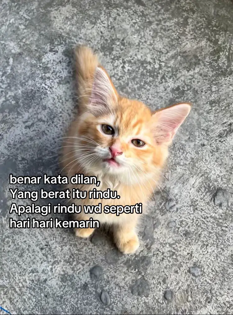 #foryoupage #fyp #trending #fypシ #viral 