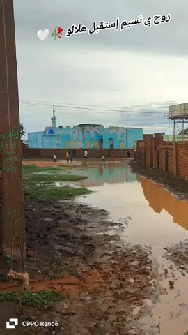 روح ي نسيم إستقبل هلالو 🥀🤍 #بابكر_خالد🇸🇩⬆️ 