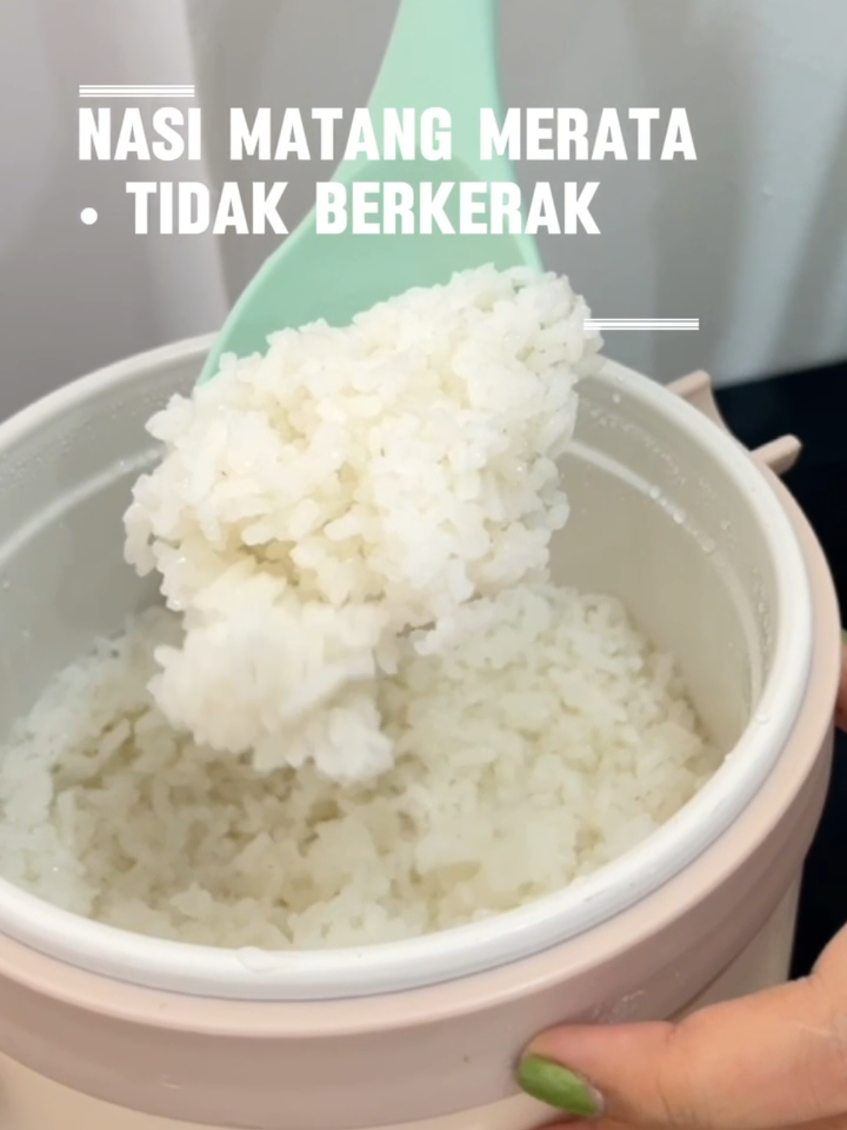 rice cooker multifungsi bisa buat goreng #ricecooker #ricecookermurah #penanaknasi #pancilistrik #ricecookermini 