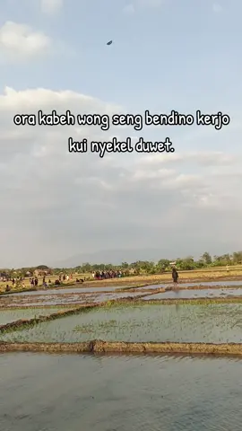 nyekel ndas 🫩 #fypage #berandatiktok #masukberandafyp #fyppppppppppppppppppppppp #ponorogoupdate 