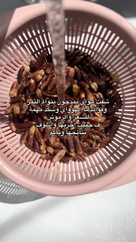 نجيب نواة التمر او الرطب ونغسله ونخلي ينشف وبعدين نخلي ع نار بدون زيت لمن يصير اسود وبعدها تطحنونه حتى يصير باودر ( تجنبا لحالات كسر الطاحونه دكي النواة بالجاكوج بعدين المطحنه) تكدرين تستخدمينه وي الحنه او السدر او وي اي زيت يناسب شعرج تتركينه وي الزيت لمدة ٧ ايام حتى يتخمر وياخذ فوائدة وبعدين استخدمو ساعتين ع شعر ومرتين بالاسبوع وينغسل بشامبو 