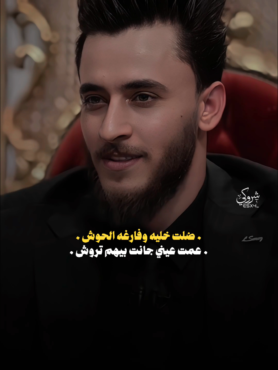 ردت مدنكه وتبجي الطروش 💔 #ستوريات_شروگي #حيدر_حبيب #التصميم_والمونتاج_شروگي #شعر_شعبي_عراقي #تصاميم_فيديوهات🎵🎤🎬 