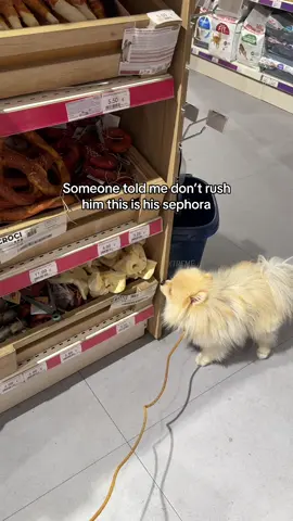 Milo’s sephora #dogshoppingtrip 