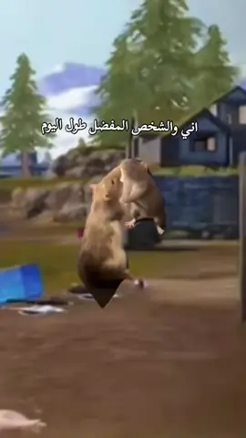 اشكك وشك ابوك 😂#Meme #MemeCut #CapCut #مواهب_ببجي_موبايل_العربية #ببجيموبايل 