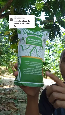 Membalas @damarwulan3180 melindungi tanaman dari busuk akar dengan agen hayati trichobio  #pupuk #pupukorganik #agenhayati 