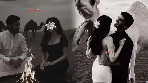 @ جــ #شتاوي_غناوي_علم_ليبيه #ابراهيم_بوشاقور❤🦅 