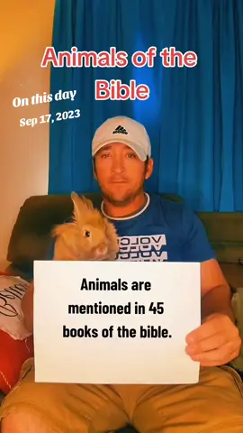 #onthisday animals of the #bible #fyp #christiantiktok #LanguageLearning 