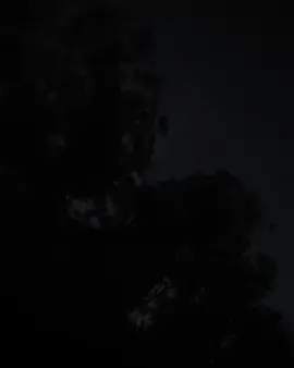 ဘာသာပြန်=ကျနော်စောင့်နေပါသေးတယ်ဘယ်တော့မှပြန်မလာတော့တဲ့လူတစ်ယောက်ကို အမှားပါသွားရင်တောင်းပန်ပါတယ်ဗျာ#等待 #心情 #热门 #抖音 #fyp 