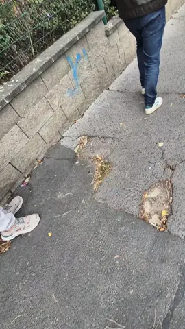 Cheb no 😂 #Cheb #fyp 