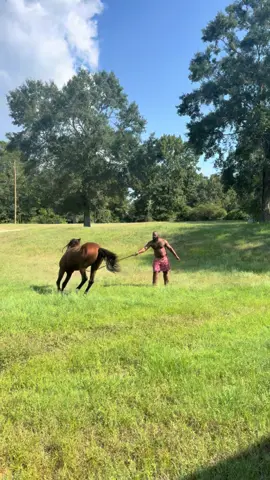 At the ranch  #cowboy #BlackTikTok #blackcowboy #quarterhorse #equestrian #studsoftiktok #ranchlife #richcowboye #horse #horsesontiktok #rich  #acres 