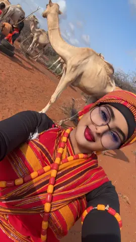Ovv🐪💋#somalitiktok #foryoupage #fyp 