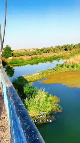 #الباغوز_الجرح_المنسي#البوكمال #ديرالزور #مطنوخ_ابن_الفرات #متابعه_ولايك_واكسبلور 