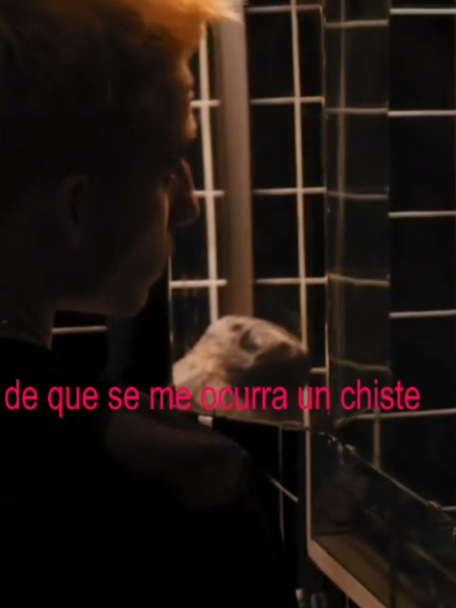 Y las ganas q me dieron de que se me ocurra un chiste. #arracarmelo #wos #descartable #creatorsearchinsights #paratiiiiiiiiiiiiiiiiiiiiiiiiiiiiiii @wosds3 