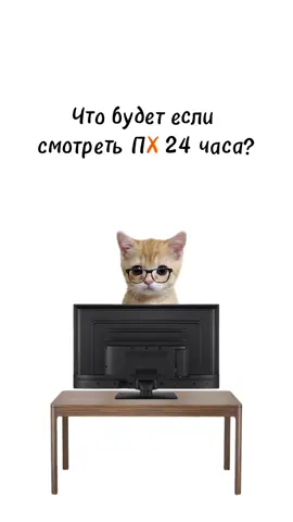 Что будет, если смотреть пх 24 часа | киса объясняет 