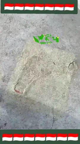 #bravotni #🔥🔥🔥 