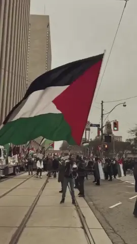 From New York to Istanbul, from London to Berlin: the world says Free Palestine! 🌍🇵🇸                                 🇵🇸🇵🇸🍉🇵🇸🇵🇸🍉🇵🇸🇵🇸🍉🇵🇸🇵🇸🇵🇸🌱🇵🇸 Tüm dünyada tek ses: Özgür Filistin! 🇵🇸✊ #FreePalestine #Gaza #filistinyalnızdeğil 