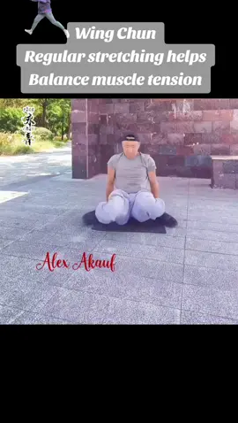 Wing Chun Regular stretching helps balance muscle tension #wingchun #wingchunstretch #wingchunwarmup 