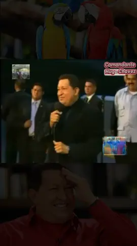 El Comandante Hugo Chavez con su humor nos cuenta anecdota sobre el loro domesticado 🇻🇪 #chavez #humor #socialismo #loro #venezuela 