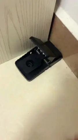 GET RID OF MICE NOW! 🔥 Powerful snap trap works every time. Say goodbye to rodents. #mousetrap #effectivekill #nomoremice#tiktokmademebuyit#fyp