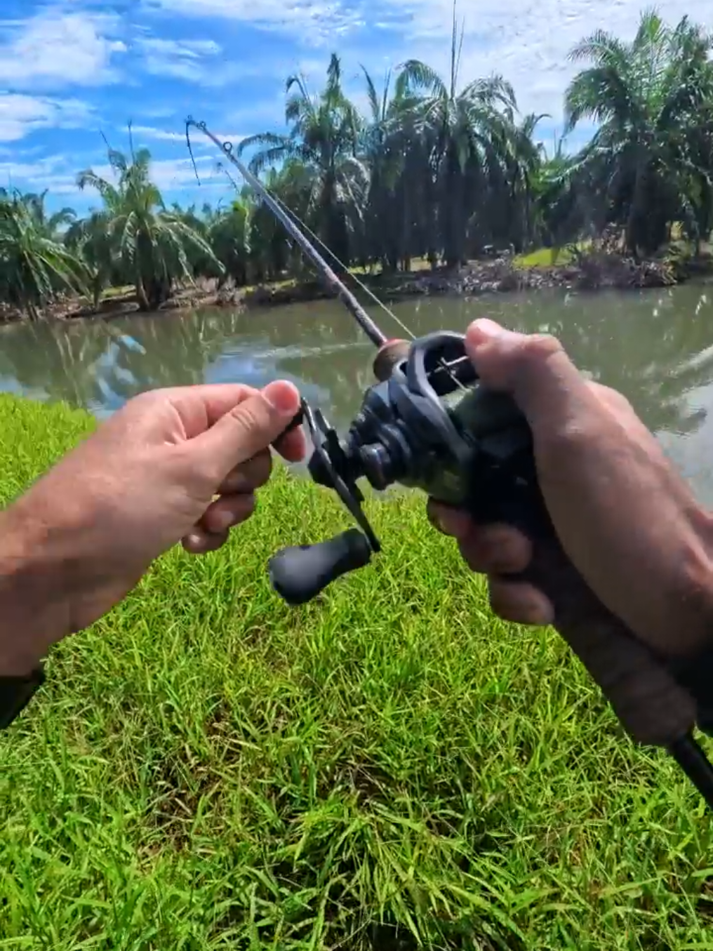 auto relese ✅️🎣 @palieyy_  #tiktokviral #fyppppppppppppppppppppppp #🎣🎣🎣 #rezeki_allah 