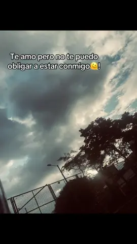 #paratii #fpyシ #contenido 