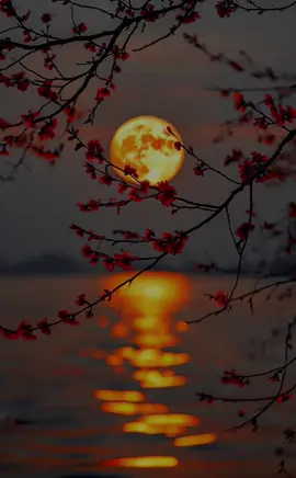 النبي عليه الصلاة والسلام اقسم بهذا الدعاء 🤲🥺#اللهم_صلي_على_نبينا_محمد #ادعيه #حديث_عن_النبي #حديث #اكسبلوررر 