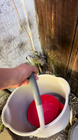 Dijo el chapulin no el chavo 🤣.. 