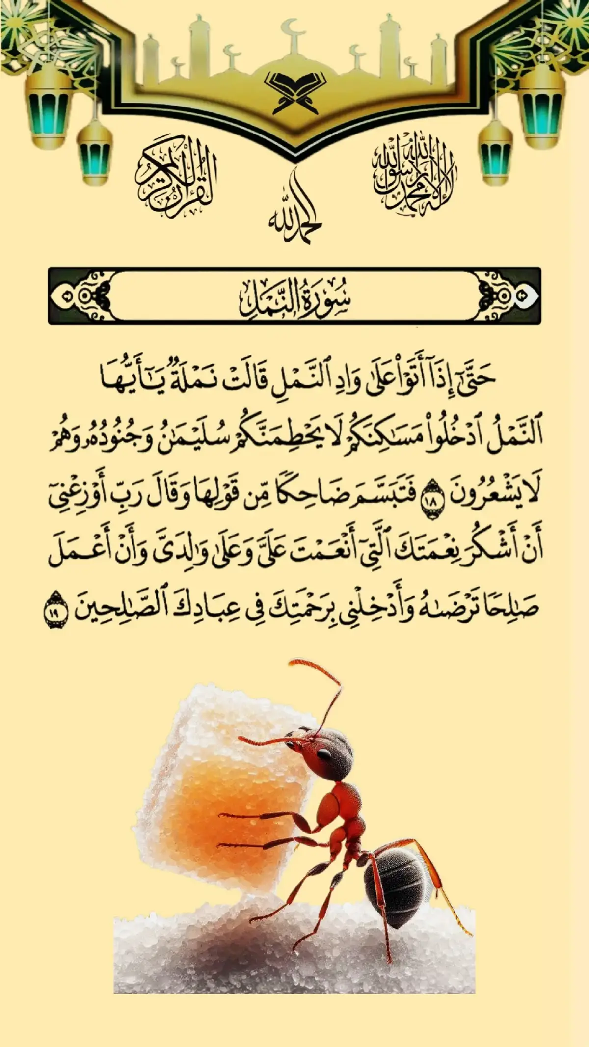 #القرآن_الكريم #اللهم_عجل_لوليك_الفرج #اللهم_لك_الحمد_ولك_الشكر #foryoupage 