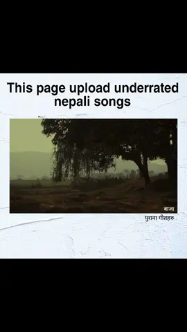 Buttifuri by Baaja |  बाजा पुराना गीतहरु 📽️ : Aarush Magar  #baaja #buttifuri #nepalimusic #बाजा #fusionnepali 