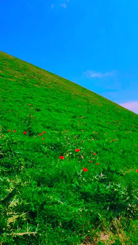 ګران وطن افغانستان ماشاءالله ماشاءالله 