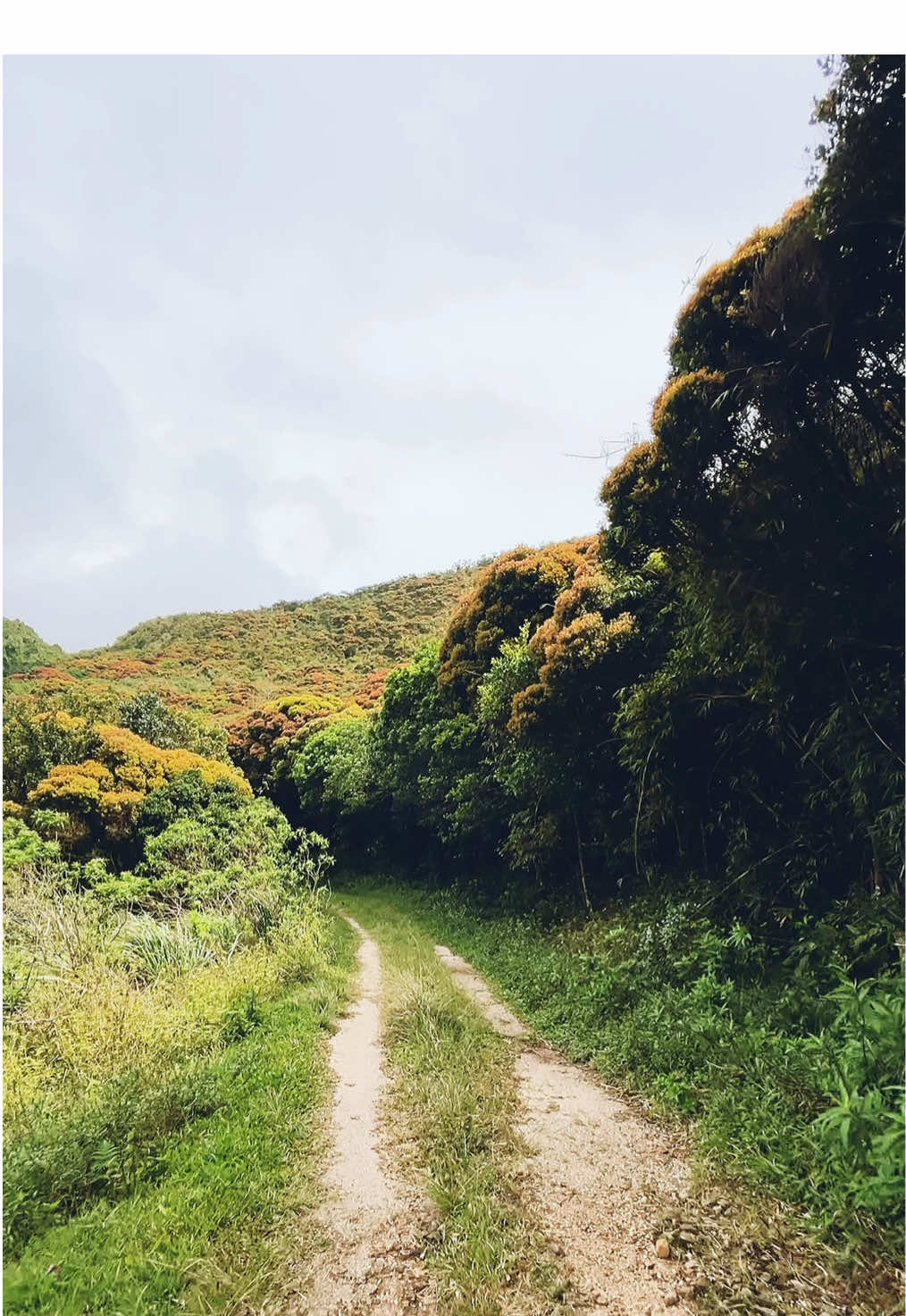 Into The #heaven | #srilanka 