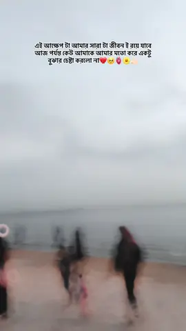 এই আক্ষেপ টা আমার সারা টা জীবন ই রয়ে যাবে আজ পর্যন্ত কেউ আমাকে আমার মতো করে একটু বুঝার চেষ্টা করলো না 💔🫀🥺🌼🤙🏻#foryou #viraltiktok #nature #videoforyouofficalpageyou #😭😭😭😭😭😭💔💔💔💔💔💔💔💔💔💔💔  @Reaz Uddin💔🇧🇩📝 