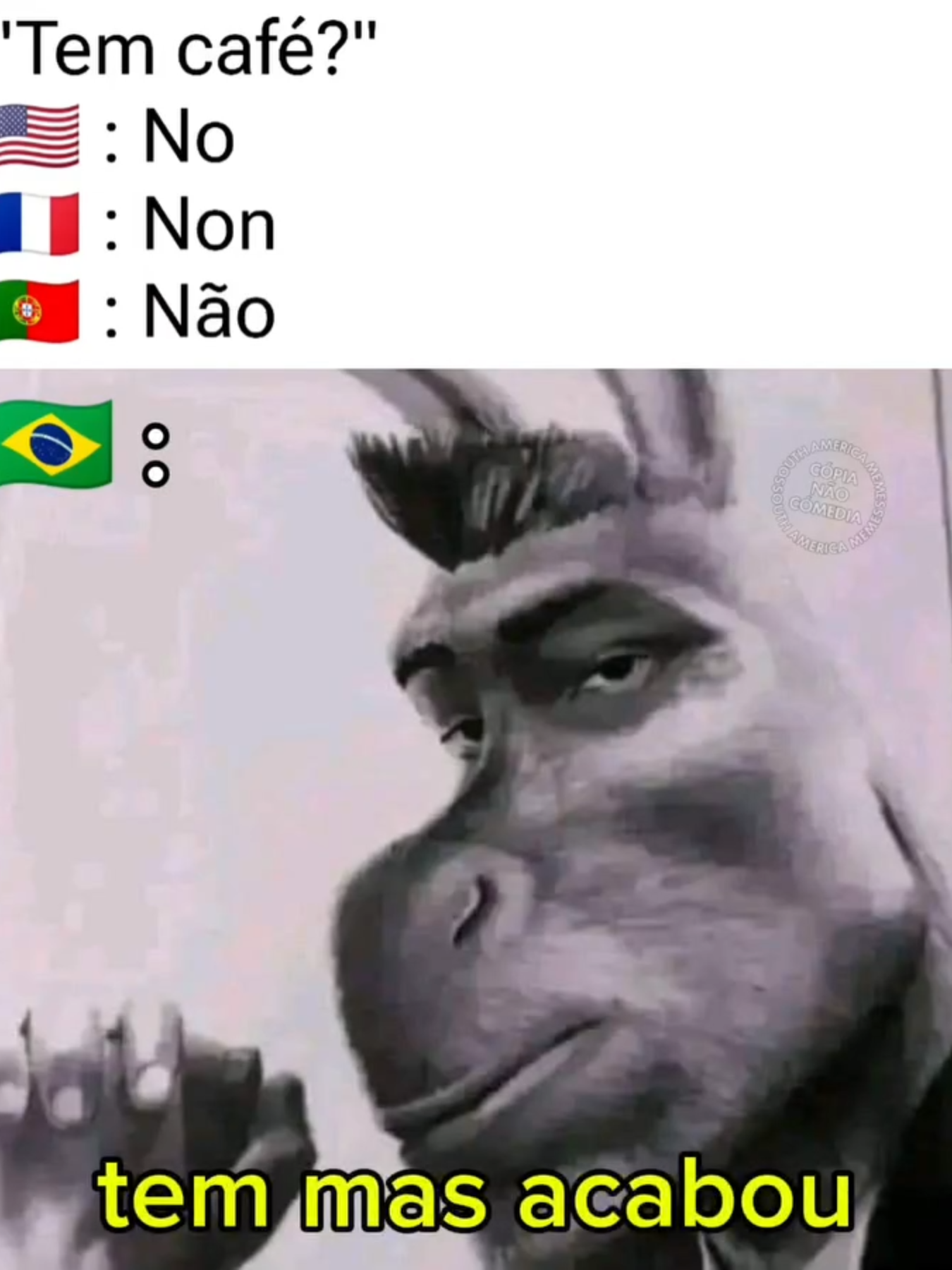 o gringo tentando entender #southamericamemes