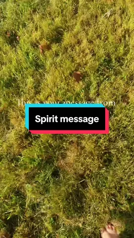 #spiritmessagesforyou #tarotreadingforthecollective #justicecard #thehermitcard #tenofcupsvibes 