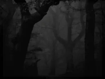 алых роз #skillet #шепотвтемноте #футажстекстом #врекомендации 